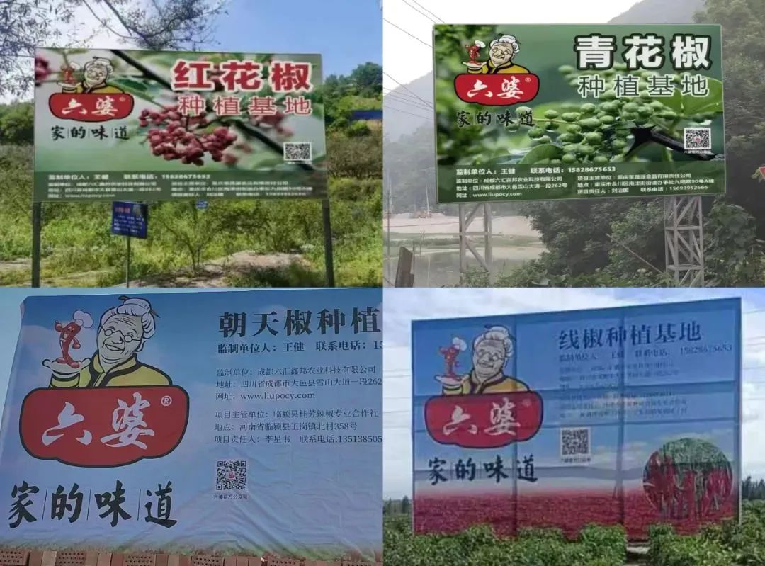 8亿袋一包辣椒面如何成为万能蘸料冰球突破技巧六婆：一年销量超过(图5)
