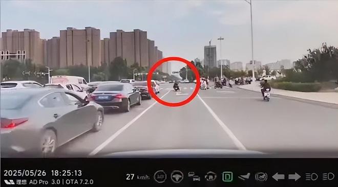 ：女司机气到流产公布完整行车记录仪冰球突破河北女司机与骑手冲突后续(图7)