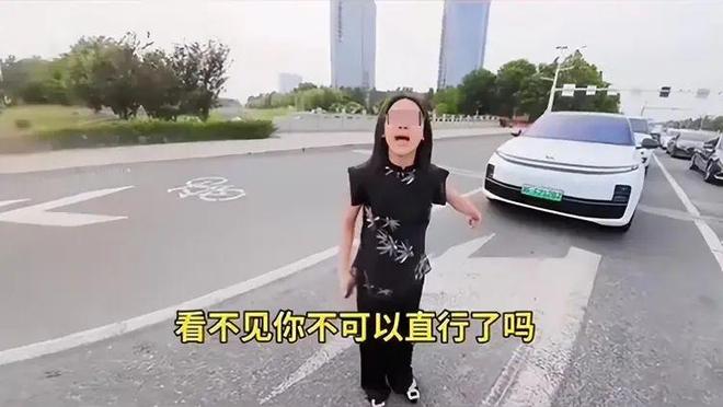 ：女司机气到流产公布完整行车记录仪冰球突破河北女司机与骑手冲突后续(图9)