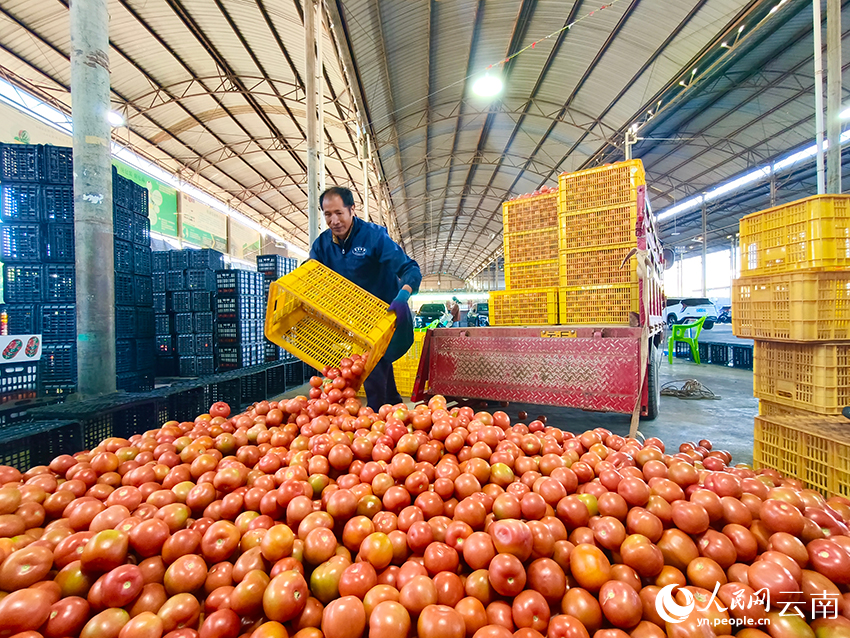 的云南元谋为啥这么“热”？冰球突破豪华版app冬春